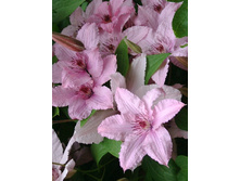 70,88���. �������� ����� ������ (�������� ���� �� 5 ��., ����������� ����� 1��.).jpg