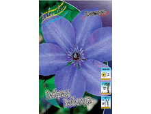 75,02���. �������� ������ ������� (�������� ���� �� 5 ��., ����������� ����� 1��.).jpg