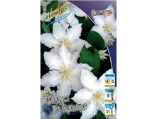 75,02���. �������� ����� �� ������� (�������� ���� �� 5 ��., ����������� ����� 1��.).jpg