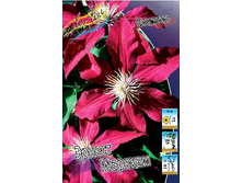 75,02���. �������� ������ ������� (�������� ���� �� 5 ��., ����������� ����� 1��.).jpg