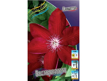 80,74���. �������� ������������ (�������� ���� �� 5 ��., ����������� ����� 1��.).jpg