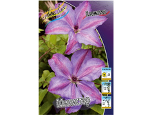 80,74���. �������� �������� (�������� ���� �� 5 ��., ����������� ����� 1��.).jpg