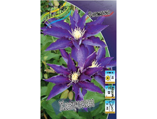 80,74���. �������� �������� (�������� ���� �� 5 ��., ����������� ����� 1��.).jpg