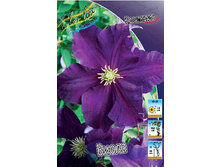 88,84���. �������� ����� (�������� ���� �� 5 ��., ����������� ����� 1��.).jpg