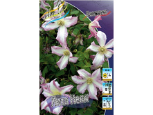 88,84���. �������� ���� ���� (�������� ���� �� 5 ��., ����������� ����� 1��.).jpg