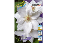 88,84���. �������� ���� (�������� ���� �� 5 ��., ����������� ����� 1��.).jpg