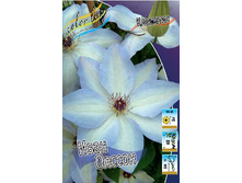 91,5���. �������� ���� ������ (�������� ���� �� 2 ��., ����������� ����� 1��.).jpg