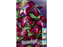 91,6���. �������� ��������� (�������� ���� �� 5 ��., ����������� ����� 1��.).jpg