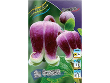 154,8���. �������� �� ����� (�������� ���� �� 5 ��., ����������� ����� 1��.).jpg