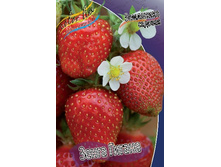 18,36���.��������� ������� ����� ������ (���������� ������ ������ ���������� �� 5 ��.).jpg