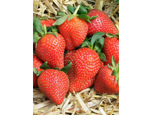 18,36���.��������� ������� ������ (���������� ������ ������ ���������� �� 5 ��.).jpg