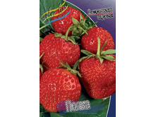 18,36���.��������� ������� ����� (���������� ������ ������ ���������� �� 5 ��.).jpg