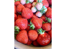 18,36���.��������� ������� ��������� (���������� ������ ������ ���������� �� 5 ��.).jpg