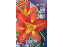 29,42���.�������� ����� (�������� ���� �� 5 ��., ����������� ����� 1��.).jpg