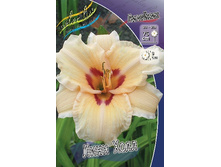 50,14���.�������� ���� ���� (�������� ���� �� 5 ��., ����������� ����� 1��.).jpg