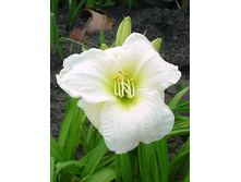 60,2���.�������� ������ ������� (�������� ���� �� 3 ��., ����������� ����� 1��.).jpg