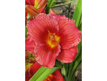 66,6���.�������� ������ ���� ����� (�������� ���� �� 2 ��., ����������� ����� 1��.).jpg