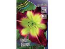 67,13���.�������� ���� ����� (�������� ���� �� 3 ��., ����������� ����� 1��.).jpg