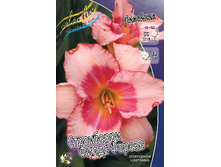 88,35���.�������� ���������� ����� ������� (�������� ���� �� 2 ��., ����������� ����� 1��.).jpg