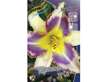 103,15���.�������� �������� �� �� (�������� ���� �� 2 ��., ����������� ����� 1��.).jpg