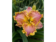 108,1���.�������� ����� ����� (�������� ���� �� 2 ��., ����������� ����� 1��.).jpg