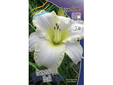 113���.�������� �������� ��� (�������� ���� �� 2 ��., ����������� ����� 1��.).jpg