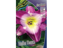 113���.�������� ���� ���� (�������� ���� �� 2 ��., ����������� ����� 1��.).jpg