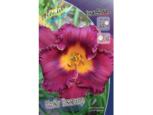 113���.�������� ���� ������ (�������� ���� �� 2 ��., ����������� ����� 1��.).jpg