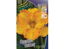 113���.�������� ������ ������ (�������� ���� �� 2 ��., ����������� ����� 1��.).jpg