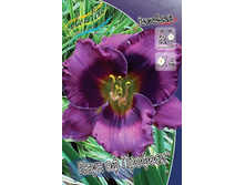 113���.�������� ���� �� ������� (�������� ���� �� 2 ��., ����������� ����� 1��.).jpg