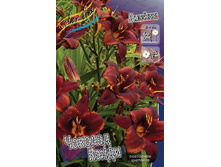 122,9���.�������� ������� ����� (�������� ���� �� 2 ��., ����������� ����� 1��.).jpg