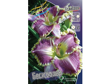 142,65���.�������� ���������� (�������� ���� �� 2 ��., ����������� ����� 1��.).jpg