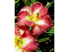 142,65���.�������� ���� ���� (�������� ���� �� 2 ��., ����������� ����� 1��.).jpg