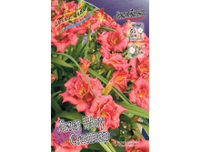 92,8���.�������� ���� ��� ������� (�������� ���� �� 3 ��., ����������� ����� 1��.).jpg