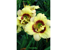 101,67���.�������� ����� ������ ������ (�������� ���� �� 3 ��., ����������� ����� 1��.).jpg