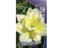 111,53���.�������� ������� ���� (�������� ���� �� 3 ��., ����������� ����� 1��.).jpg