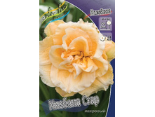 126,37���.�������� ������� ���� (�������� ���� �� 3 ��., ����������� ����� 1��.).jpg