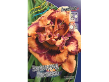 126,37���.�������� ��������� ������� (�������� ���� �� 3 ��., ����������� ����� 1��.).jpg