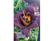 141,17���.�������� ������ ������ (�������� ���� �� 3 ��., ����������� ����� 1��.).jpg