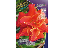 141,17���.�������� ����� ���� (�������� ���� �� 3 ��., ����������� ����� 1��.).jpg