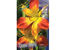 103,15���.�������� ���� ���� (�������� ���� �� 2 ��., ����������� ����� 1��.).jpg