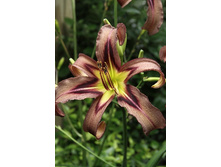 142,65���.�������� ���� �������� (�������� ���� �� 2 ��., ����������� ����� 1��.).jpg