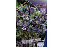 142,65���.�������� ������������ (�������� ���� �� 2 ��., ����������� ����� 1��.).jpg