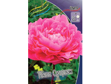 68,6���.���� ���� ������ (�������� ���� �� 2 ��., ����������� ����� 1��.).jpg