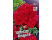 87,35���.���� ��������� �������� (�������� ���� �� 2 ��., ����������� ����� 1��.).jpg