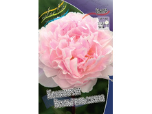 87,35���.���� �������� ������������ (�������� ���� �� 2 ��., ����������� ����� 1��.).jpg