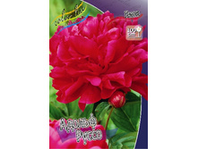 88,35���.���� ������ ����� (�������� ���� �� 2 ��., ����������� ����� 1��.).jpg