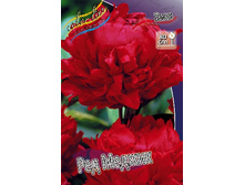 101,15���.���� ��� ������ (�������� ���� �� 2 ��., ����������� ����� 1��.).jpg