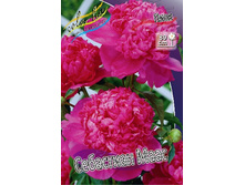 101,15���.���� ��������� ���� (�������� ���� �� 2 ��., ����������� ����� 1��.).jpg