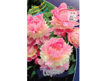 127,85���.���� ������ (�������� ���� �� 2 ��., ����������� ����� 1��.).jpg